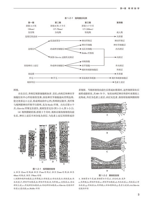 新版 实用眼科学 第4版 黎晓新 现代眼科疾病病因检查手段诊断方法手术治疗操作解剖生理基础护理 临床实用参考书 人民卫生出版社 商品图3