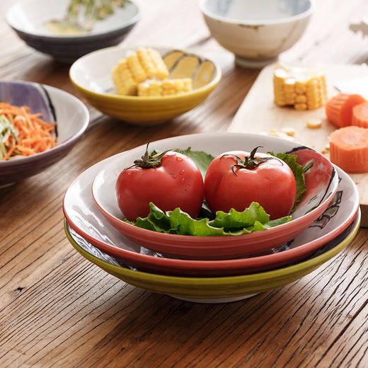 深盘<手绘蔬菜系列> 商品图2