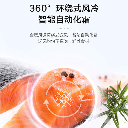 海尔（Haier）冰箱BCD-467WGHTD5DSN 商品图11