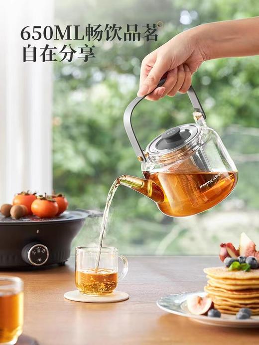 【春上新】10楼  摩飞 围炉煮茶器  MR6083  吊牌价459元  活动价328元 商品图3