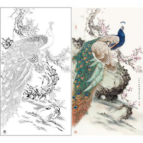 【大彩图】陈军工笔画白描底稿《孔雀图》临摹勾线花鸟线稿CJ48