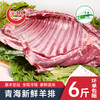 青海新鲜羊排6斤  羔羊肉 草原散养的溜达羊 商品缩略图0