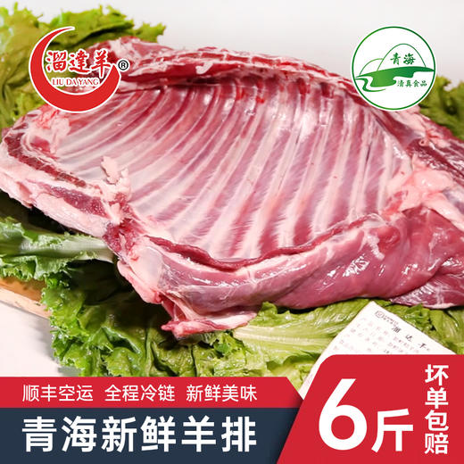青海新鲜羊排6斤  羔羊肉 草原散养的溜达羊 商品图0