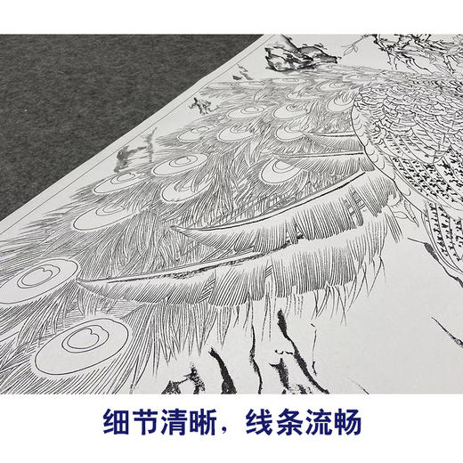 【大彩图】陈军工笔画白描底稿《孔雀图》临摹勾线花鸟线稿CJ48 商品图4