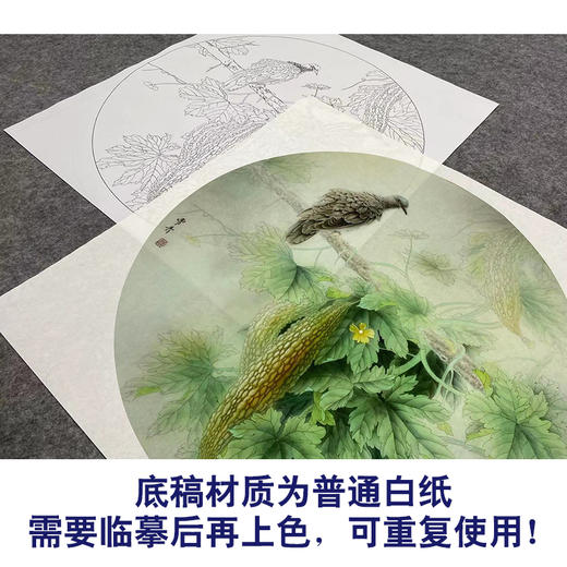 【大彩图】龚雪青工笔画白描底稿圆形小品《苦瓜斑鸠》临摹勾线花鸟线稿XQ02 商品图3
