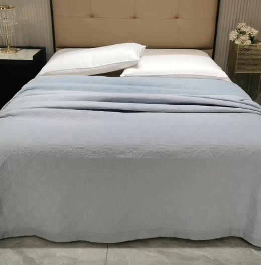 知庭丝棉醇床盖230x240cm 商品图0