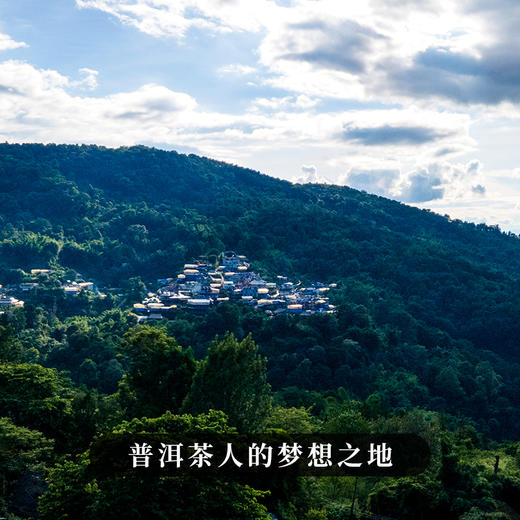 【班盆老寨】 2015年头春头采8年勐海自然干仓储存 越陈越香 把时光转化成惊艳的味道 357g/饼 拍5发6 拍10发12 商品图7