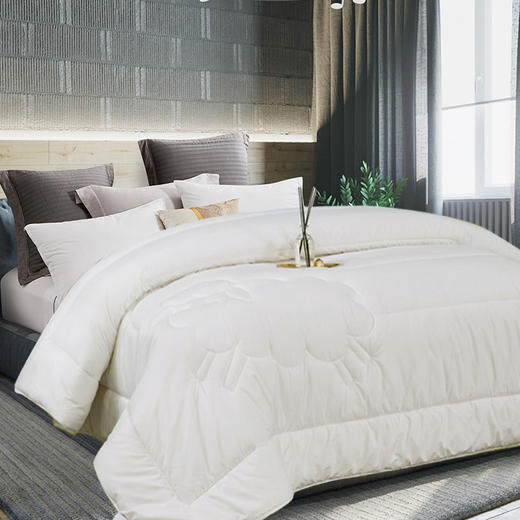 睡眠管家希尔顿酒店100%澳洲进口羊毛被 | 吸湿、透气，面料防螨工艺，睡眠更安心 商品图3