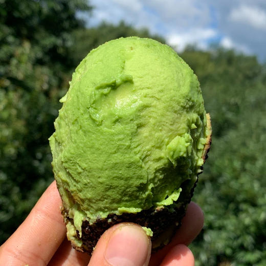 云南孟连【逐南味】哈斯牛油果 肉质细密绵软 入口即化 醇香味浓 商品图1