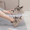 新品女士冬季加绒厚底百搭老爹鞋253B35559（W） 商品缩略图3