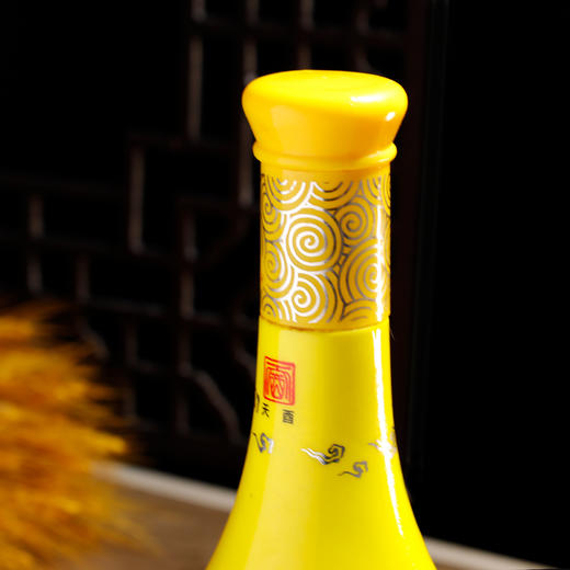 野乡风物丨浓香型天酉白酒  产自宜宾 十七年老酒 商品图6