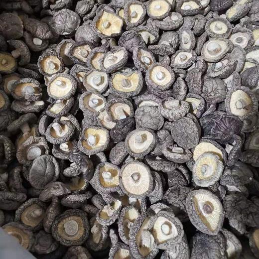 【年前特惠】河谷上方 西峡香菇干货冬厚菇新货 1袋装 商品图1