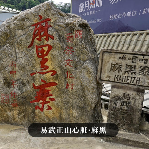 【麻黑】2023年头春头采古茶易武山系的标杆韵味易武小香猪再好喝也没有麻黑的茶香 商品图9