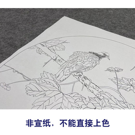 【大彩图】龚雪青工笔画白描底稿圆形小品《苦瓜斑鸠》临摹勾线花鸟线稿XQ02 商品图2