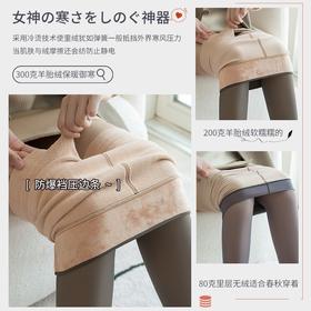 光腿袜神器假透肉防勾丝，秋冬加绒打底裤 连裤袜HS-001