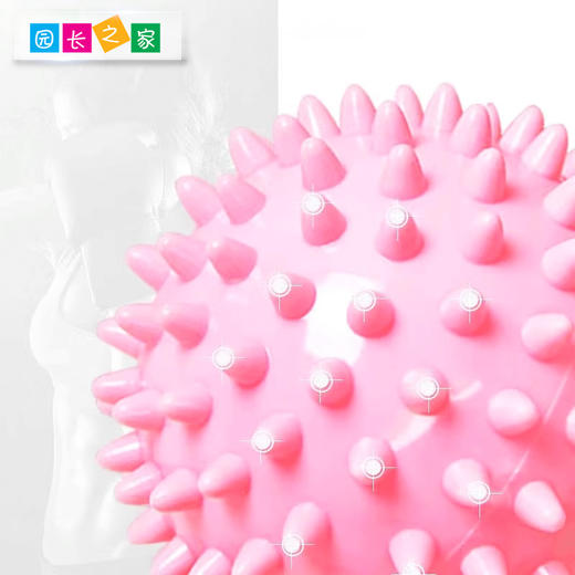 感统—按摩球 硬刺球 软刺球 商品图1