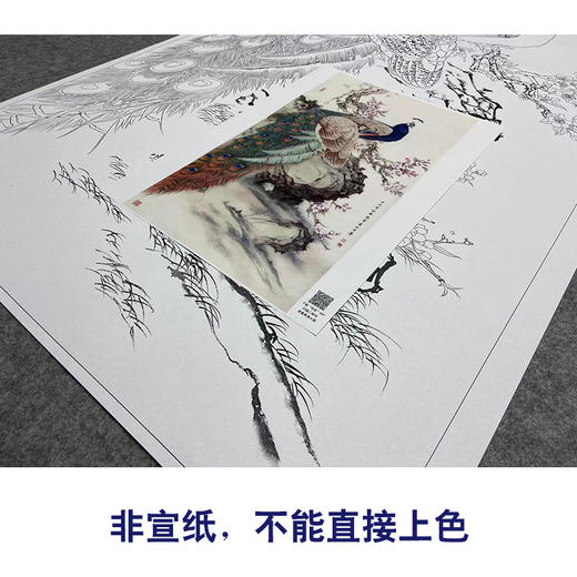 【大彩图】陈军工笔画白描底稿《孔雀图》临摹勾线花鸟线稿CJ48 商品图2