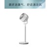 艾美特循环扇FA23-RD21（需自行安装） 商品缩略图1