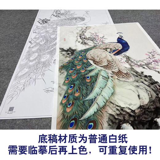 【大彩图】陈军工笔画白描底稿《孔雀图》临摹勾线花鸟线稿CJ48 商品图3