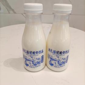 冰扎骆驼酸奶