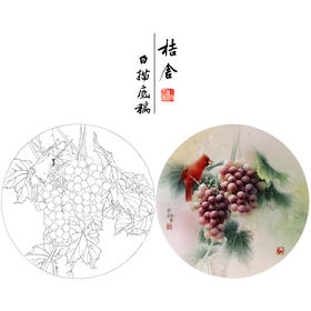 【大彩图】龚雪青工笔画白描底稿圆形小品《葡萄红雀图》临摹勾线花鸟线稿XQ01