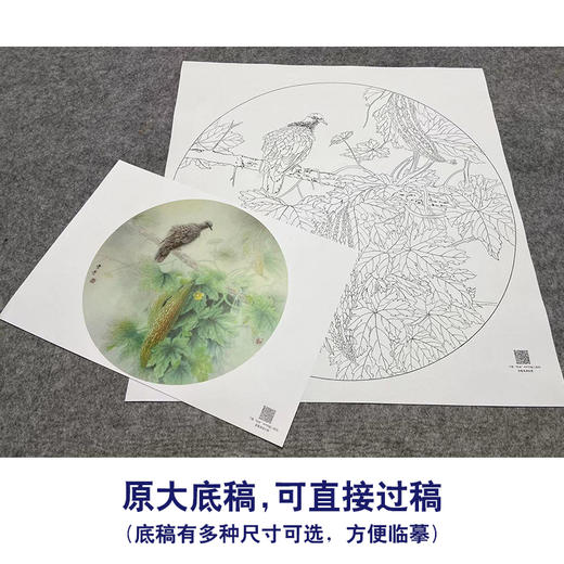 【大彩图】龚雪青工笔画白描底稿圆形小品《苦瓜斑鸠》临摹勾线花鸟线稿XQ02 商品图1