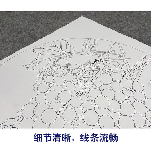 【大彩图】龚雪青工笔画白描底稿圆形小品《葡萄红雀图》临摹勾线花鸟线稿XQ01 商品图4