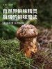 松鲜鲜调料（白灼/调料/素蚝油/一品鲜/） 商品缩略图3