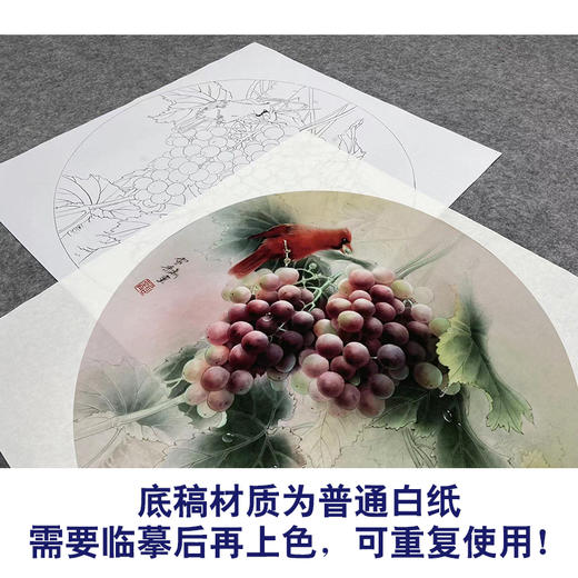 【大彩图】龚雪青工笔画白描底稿圆形小品《葡萄红雀图》临摹勾线花鸟线稿XQ01 商品图3