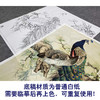 【大彩图】陈军工笔画白描底稿小品《孔雀》临摹勾线花鸟线稿 CJ59 商品缩略图3