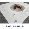 【大彩图】龚雪青工笔画白描底稿圆形小品《葡萄红雀图》临摹勾线花鸟线稿XQ01 商品缩略图2