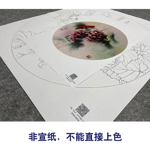 【大彩图】龚雪青工笔画白描底稿圆形小品《葡萄红雀图》临摹勾线花鸟线稿XQ01 商品图2