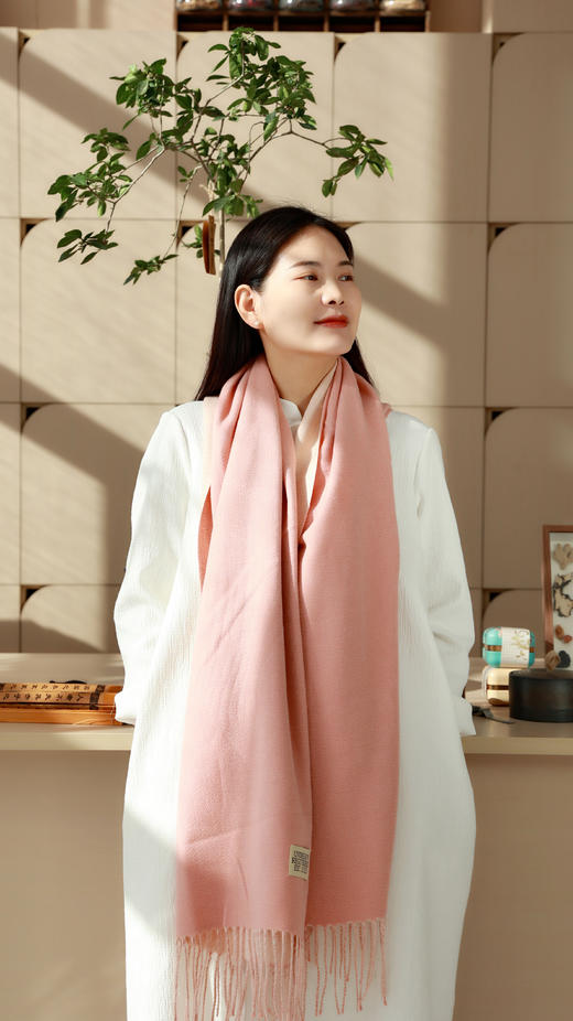 温小暖食草堂优物拼团——“双面羊绒围巾” 商品图3