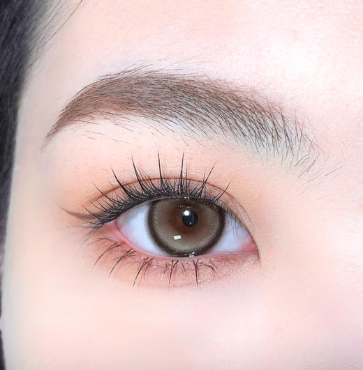 PuffGirl（Puff Girl）日抛 软萌泰迪 直径14.2mm着色13.5mm 商品图9