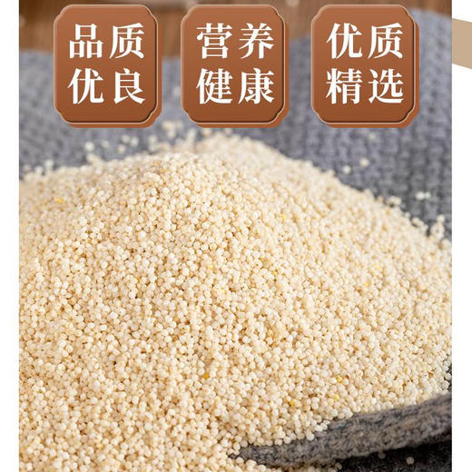 【乌拉白小米】源自清朝贡米产地 保胚芽 富含多种维生素 矿物质 叶酸含量高 粘软爽口 米香浓郁 回味悠长 商品图6