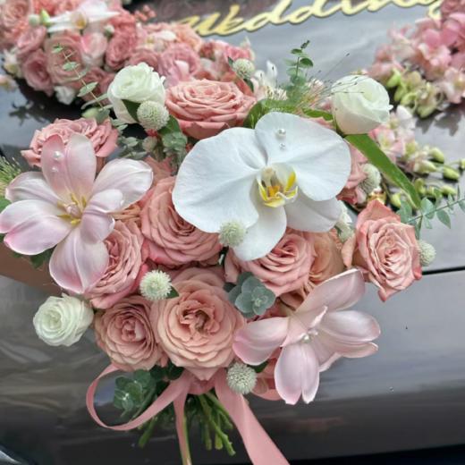 复古色系 商品图2