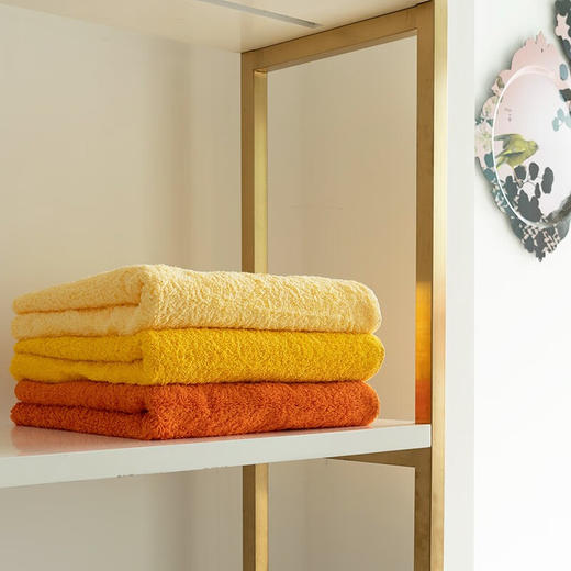 【6F】爱比丝Abyss爱比丝毛巾葡萄牙长绒棉 SUPER PILE 面巾 55*100cm 商品图5