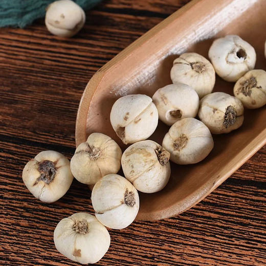 藏贝母 商品图8