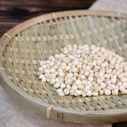 藏贝母 商品图4