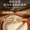 【乌拉白小米】源自清朝贡米产地 保胚芽 富含多种维生素 矿物质 叶酸含量高 粘软爽口 米香浓郁 回味悠长 商品缩略图3