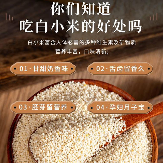 【乌拉白小米】源自清朝贡米产地 保胚芽 富含多种维生素 矿物质 叶酸含量高 粘软爽口 米香浓郁 回味悠长 商品图3