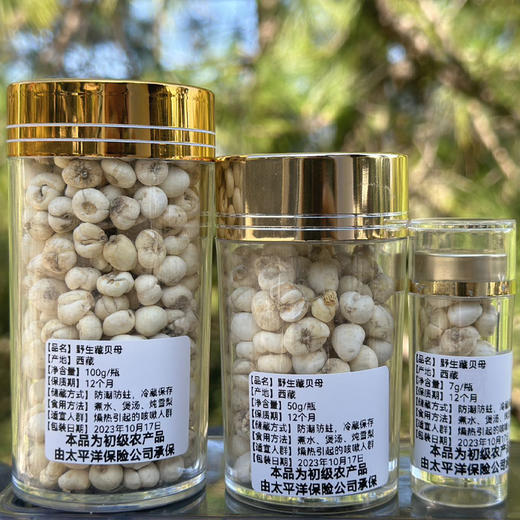 藏贝母 商品图7