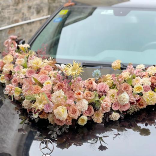 暖色系 商品图3