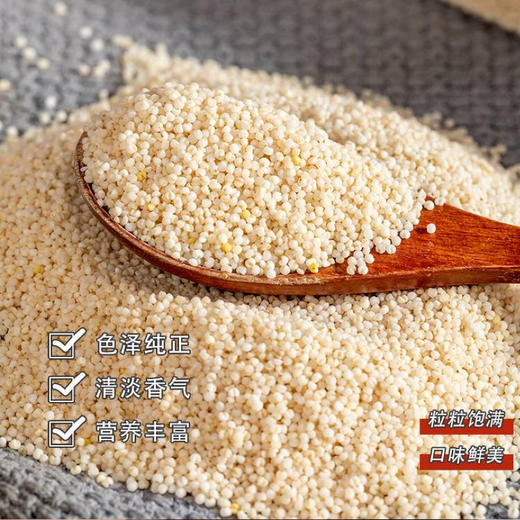 【乌拉白小米】源自清朝贡米产地 保胚芽 富含多种维生素 矿物质 叶酸含量高 粘软爽口 米香浓郁 回味悠长 商品图4