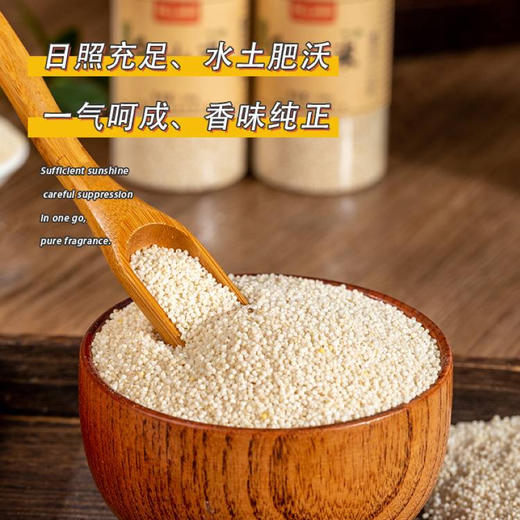【乌拉白小米】源自清朝贡米产地 保胚芽 富含多种维生素 矿物质 叶酸含量高 粘软爽口 米香浓郁 回味悠长 商品图2