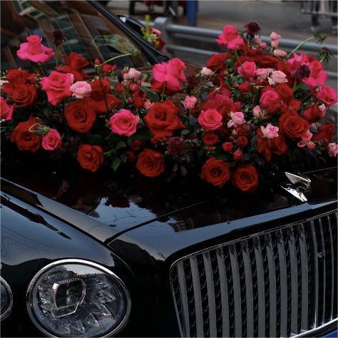 红色系 商品图1