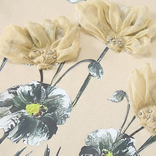 复古文艺印花圆领长袖加绒卫衣，女冬装新款休闲百搭套头上衣GYM-D0469 商品图3