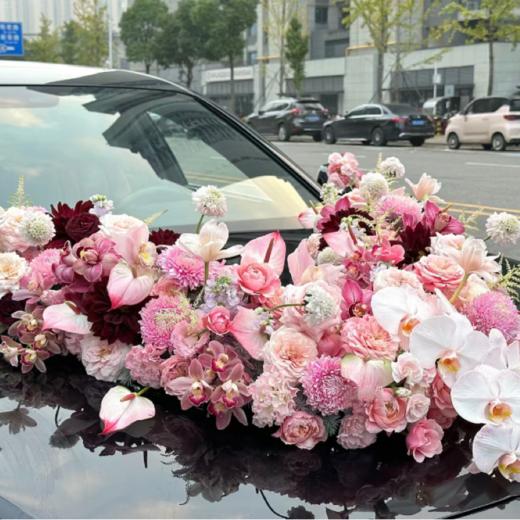 粉色系 商品图2