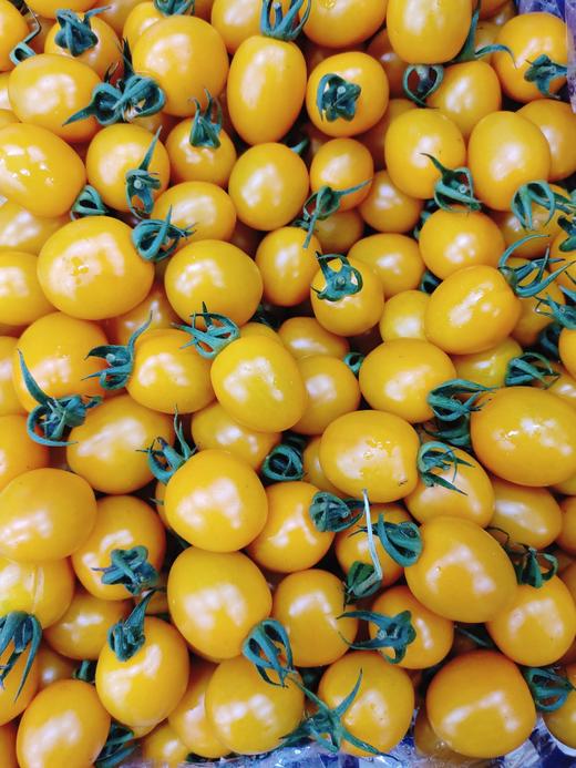 黄金蜜柿2斤 商品图2