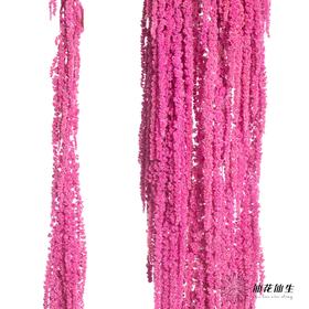 永生花材 | 吊米深粉